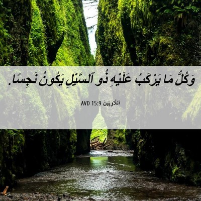 Picture 06 - اَللَّاوِيِّينَ 15:9 AVD - وَكُلُّ مَا يَرْكَبُ - Bible Verse Picture