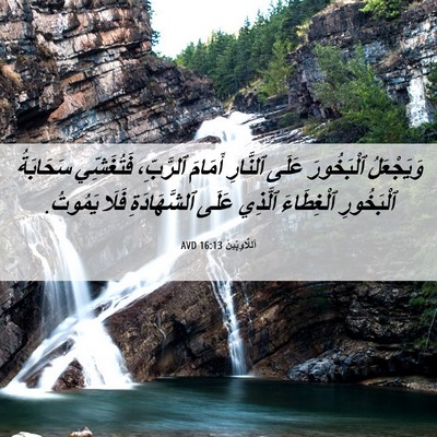 Picture 06 - اَللَّاوِيِّينَ 16:13 AVD - وَيَجْعَلُ ٱلْبَخُورَ - Bible Verse Picture