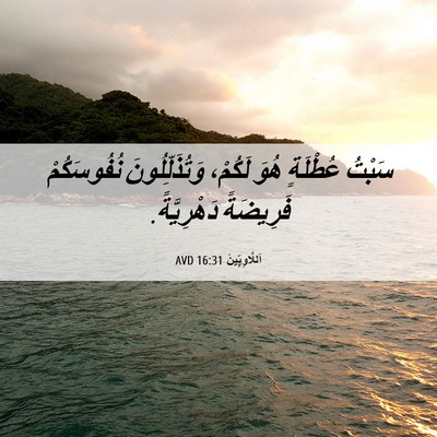 Picture 06 - اَللَّاوِيِّينَ 16:31 AVD - سَبْتُ عُطْلَةٍ هُوَ - Bible Verse Picture