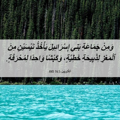 Picture 06 - اَللَّاوِيِّينَ 16:5 AVD - وَمِنْ جَمَاعَةِ بَنِي - Bible Verse Picture