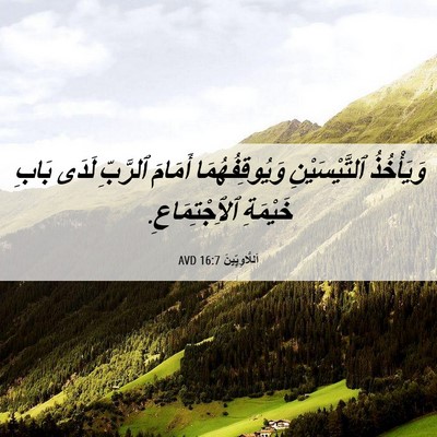 Picture 06 - اَللَّاوِيِّينَ 16:7 AVD - وَيَأْخُذُ ٱلتَّيْسَيْنِ - Bible Verse Picture