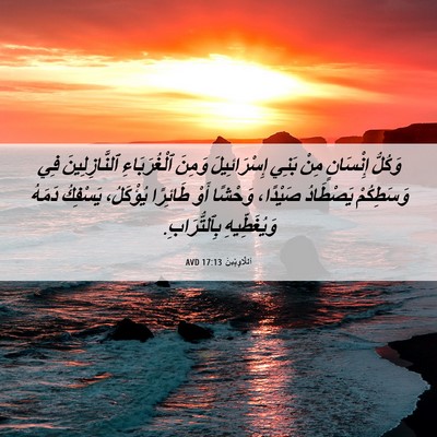Picture 06 - اَللَّاوِيِّينَ 17:13 AVD - وَكُلُّ إِنْسَانٍ مِنْ - Bible Verse Picture