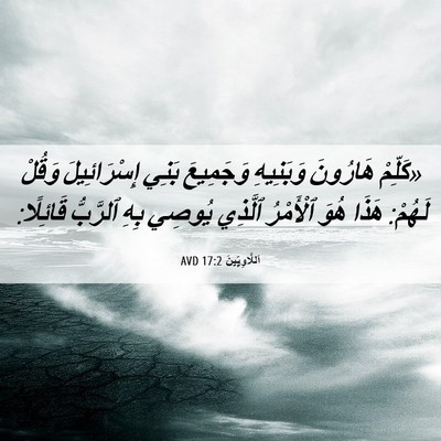 Picture 06 - اَللَّاوِيِّينَ 17:2 AVD - «كَلِّمْ هَارُونَ - Bible Verse Picture