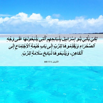 Picture 06 - اَللَّاوِيِّينَ 17:5 AVD - لِكَيْ يَأْتِيَ بَنُو - Bible Verse Picture