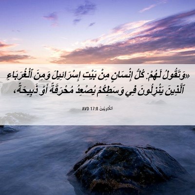 Picture 06 - اَللَّاوِيِّينَ 17:8 AVD - «وَتَقُولُ لَهُمْ: كُلُّ - Bible Verse Picture