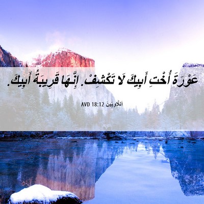 Picture 06 - اَللَّاوِيِّينَ 18:12 AVD - عَوْرَةَ أُخْتِ أَبِيكَ - Bible Verse Picture