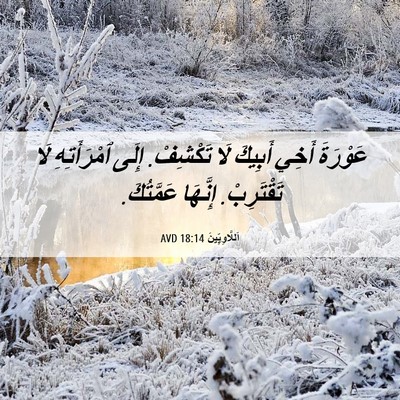 Picture 06 - اَللَّاوِيِّينَ 18:14 AVD - عَوْرَةَ أَخِي أَبِيكَ لَا - Bible Verse Picture