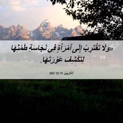 Picture 06 - اَللَّاوِيِّينَ 18:19 AVD - «وَلَا تَقْتَرِبْ إِلَى - Bible Verse Picture