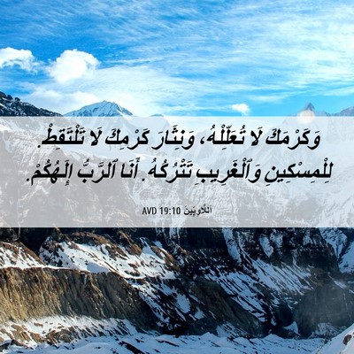 Picture 06 - اَللَّاوِيِّينَ 19:10 AVD - وَكَرْمَكَ لَا - Bible Verse Picture