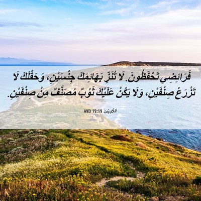 Picture 06 - اَللَّاوِيِّينَ 19:19 AVD - فَرَائِضِي تَحْفَظُونَ. - Bible Verse Picture