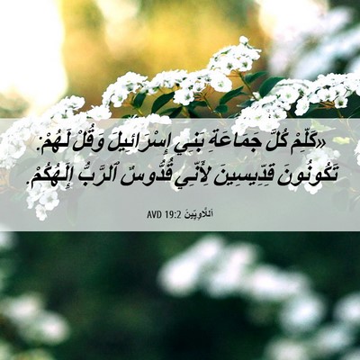 Picture 06 - اَللَّاوِيِّينَ 19:2 AVD - «كَلِّمْ كُلَّ جَمَاعَةِ - Bible Verse Picture
