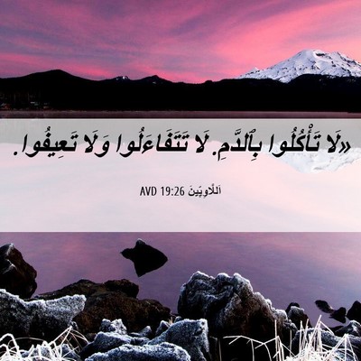 Picture 06 - اَللَّاوِيِّينَ 19:26 AVD - «لَا تَأْكُلُوا بِٱلدَّمِ. - Bible Verse Picture