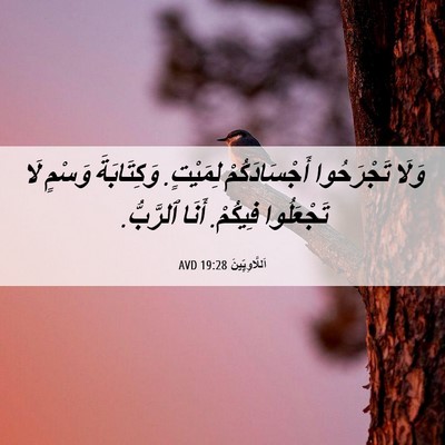 Picture 06 - اَللَّاوِيِّينَ 19:28 AVD - وَلَا تَجْرَحُوا - Bible Verse Picture