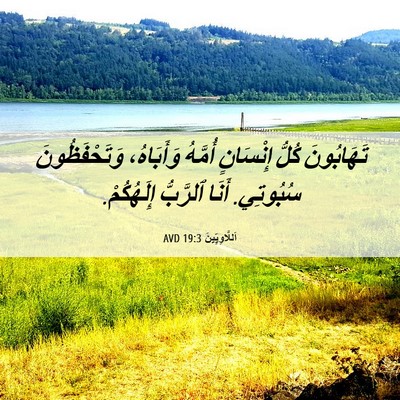 Picture 06 - اَللَّاوِيِّينَ 19:3 AVD - تَهَابُونَ كُلُّ - Bible Verse Picture