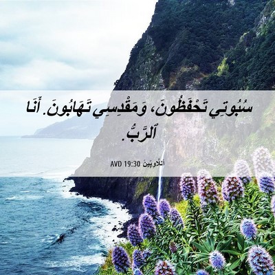 Picture 06 - اَللَّاوِيِّينَ 19:30 AVD - سُبُوتِي تَحْفَظُونَ، - Bible Verse Picture