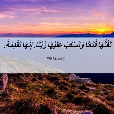 Picture 06 - اَللَّاوِيِّينَ 2:6 AVD - تَفُتُّهَا فُتَاتًا - Bible Verse Picture