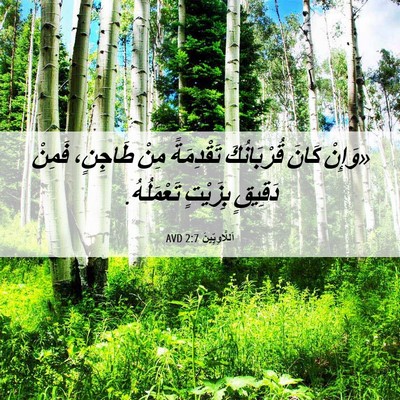 Picture 06 - اَللَّاوِيِّينَ 2:7 AVD - «وَإِنْ كَانَ قُرْبَانُكَ - Bible Verse Picture