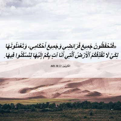 Picture 06 - اَللَّاوِيِّينَ 20:22 AVD - «فَتَحْفَظُونَ جَمِيعَ - Bible Verse Picture