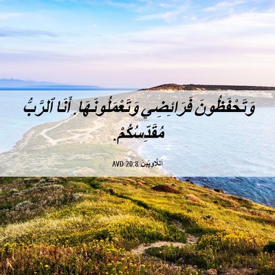 Picture 06 - اَللَّاوِيِّينَ 20:8 AVD - وَتَحْفَظُونَ فَرَائِضِي - Bible Verse Picture