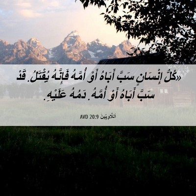 Picture 06 - اَللَّاوِيِّينَ 20:9 AVD - «كُلُّ إِنْسَانٍ سَبَّ - Bible Verse Picture