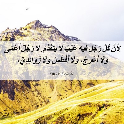 Picture 06 - اَللَّاوِيِّينَ 21:18 AVD - لِأَنَّ كُلَّ رَجُلٍ فِيهِ - Bible Verse Picture