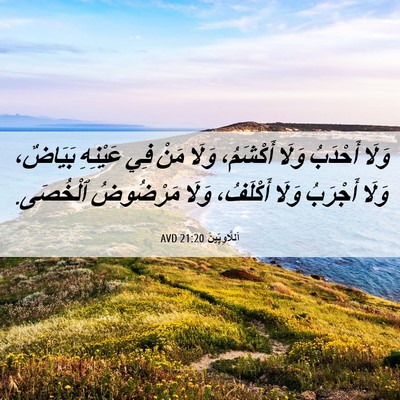 Picture 06 - اَللَّاوِيِّينَ 21:20 AVD - وَلَا أَحْدَبُ وَلَا - Bible Verse Picture