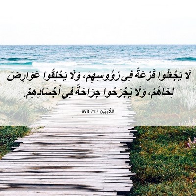Picture 06 - اَللَّاوِيِّينَ 21:5 AVD - لَا يَجْعَلُوا قَرْعَةً - Bible Verse Picture