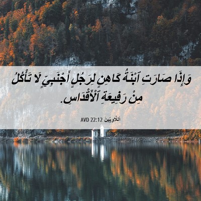 Picture 06 - اَللَّاوِيِّينَ 22:12 AVD - وَإِذَا صَارَتِ ٱبْنَةُ - Bible Verse Picture