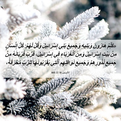Picture 06 - اَللَّاوِيِّينَ 22:18 AVD - «كَلِّمْ هَارُونَ - Bible Verse Picture