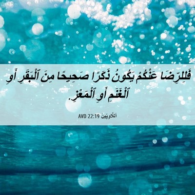 Picture 06 - اَللَّاوِيِّينَ 22:19 AVD - فَلِلرِّضَا عَنْكُمْ - Bible Verse Picture