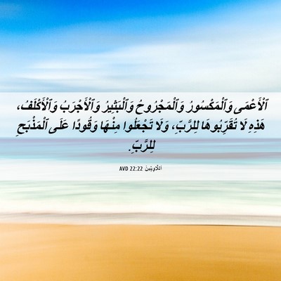 Picture 06 - اَللَّاوِيِّينَ 22:22 AVD - ٱلْأَعْمَى وَٱلْمَكْسُورُ - Bible Verse Picture
