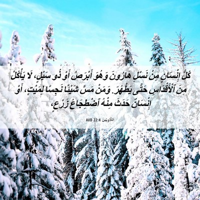 Picture 06 - اَللَّاوِيِّينَ 22:4 AVD - كُلُّ إِنْسَانٍ مِنْ - Bible Verse Picture