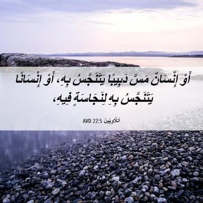 Picture 06 - اَللَّاوِيِّينَ 22:5 AVD - أَوْ إِنْسَانٌ مَسَّ - Bible Verse Picture