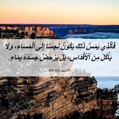 Picture 06 - اَللَّاوِيِّينَ 22:6 AVD - فَٱلَّذِي يَمَسُّ ذَلِكَ - Bible Verse Picture