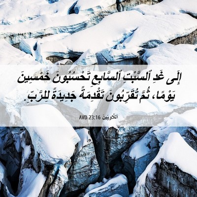 Picture 06 - اَللَّاوِيِّينَ 23:16 AVD - إِلَى غَدِ ٱلسَّبْتِ - Bible Verse Picture