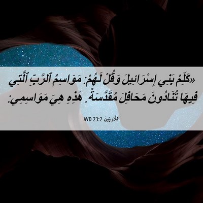 Picture 06 - اَللَّاوِيِّينَ 23:2 AVD - «كَلِّمْ بَنِي - Bible Verse Picture