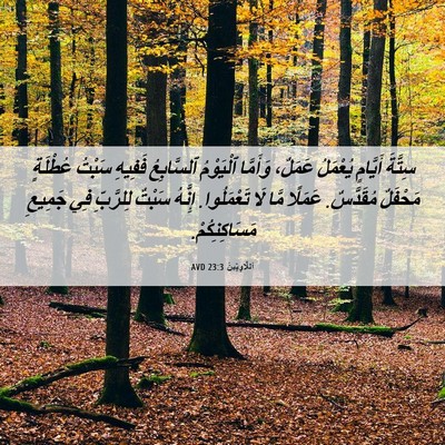 Picture 06 - اَللَّاوِيِّينَ 23:3 AVD - سِتَّةَ أَيَّامٍ يُعْمَلُ - Bible Verse Picture