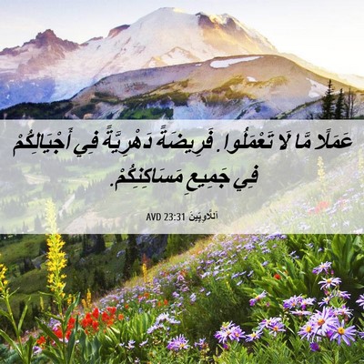 Picture 06 - اَللَّاوِيِّينَ 23:31 AVD - عَمَلًا مَّا لَا - Bible Verse Picture