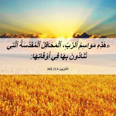 Picture 06 - اَللَّاوِيِّينَ 23:4 AVD - «هَذِهِ مَوَاسِمُ - Bible Verse Picture