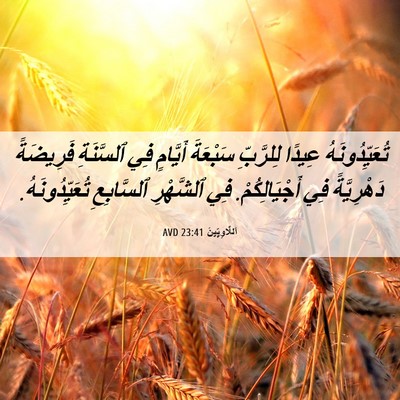 Picture 06 - اَللَّاوِيِّينَ 23:41 AVD - تُعَيِّدُونَهُ عِيدًا - Bible Verse Picture