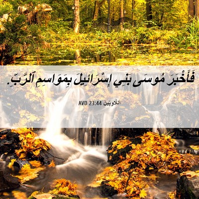 Picture 06 - اَللَّاوِيِّينَ 23:44 AVD - فَأَخْبَرَ مُوسَى بَنِي - Bible Verse Picture