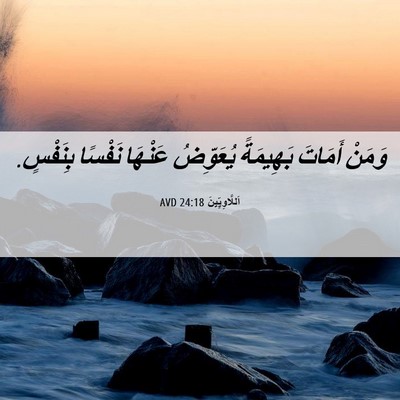 Picture 06 - اَللَّاوِيِّينَ 24:18 AVD - وَمَنْ أَمَاتَ بَهِيمَةً - Bible Verse Picture