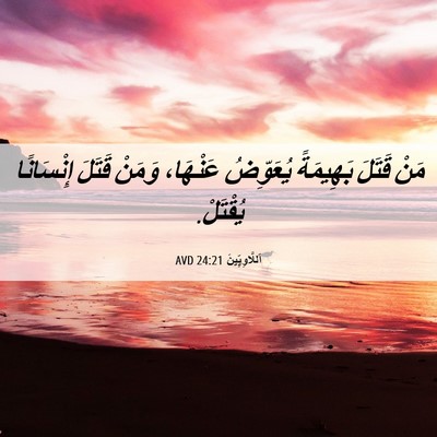 Picture 06 - اَللَّاوِيِّينَ 24:21 AVD - مَنْ قَتَلَ بَهِيمَةً - Bible Verse Picture