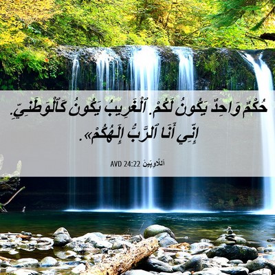 Picture 06 - اَللَّاوِيِّينَ 24:22 AVD - حُكْمٌ وَاحِدٌ يَكُونُ - Bible Verse Picture
