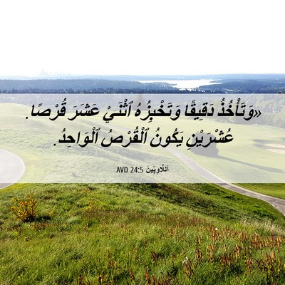 Picture 06 - اَللَّاوِيِّينَ 24:5 AVD - «وَتَأْخُذُ دَقِيقًا - Bible Verse Picture