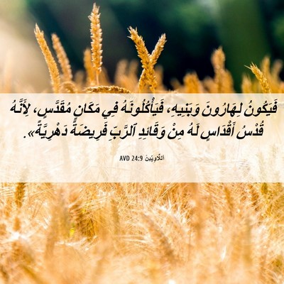 Picture 06 - اَللَّاوِيِّينَ 24:9 AVD - فَيَكُونُ لِهَارُونَ - Bible Verse Picture
