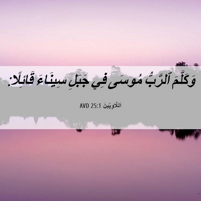 Picture 06 - اَللَّاوِيِّينَ 25:1 AVD - وَكَلَّمَ ٱلرَّبُّ مُوسَى - Bible Verse Picture