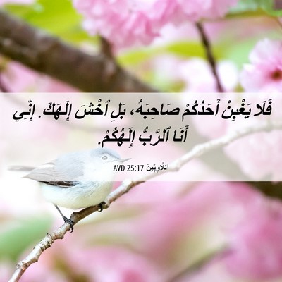 Picture 06 - اَللَّاوِيِّينَ 25:17 AVD - فَلَا يَغْبِنْ أَحَدُكُمْ - Bible Verse Picture