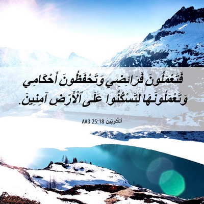 Picture 06 - اَللَّاوِيِّينَ 25:18 AVD - فَتَعْمَلُونَ فَرَائِضِي - Bible Verse Picture