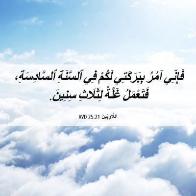 Picture 06 - اَللَّاوِيِّينَ 25:21 AVD - فَإِنِّي آمُرُ - Bible Verse Picture